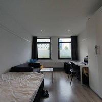 Eindhoven, Boschdijk, kamer - foto 4