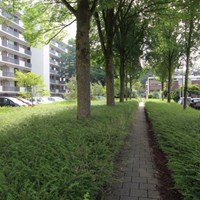Tilburg, Professor Cobbenhagenlaan, 4-kamer appartement - foto 5