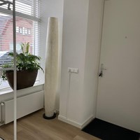 Leimuiden, Dorpstraat, benedenwoning - foto 4