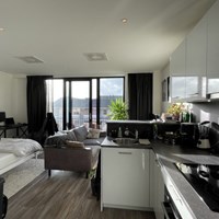 Houten, Randhoeve, zelfstandige studio - foto 5