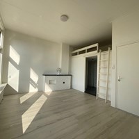 Arnhem, Sonsbeeksingel, semi zelfstandige studio - foto 6
