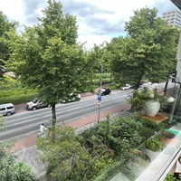Groningen, S s Rosensteinlaan, kamer - foto 6