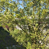 Amsterdam, Uiterwaardenstraat, 4-kamer appartement - foto 4