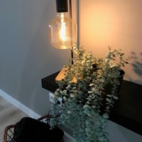 Helmond, Mierloseweg, 2-kamer appartement - foto 6