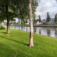 Leiden, Troelstraplein, bovenwoning - foto 5