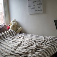 Den Haag, van Lansbergestraat, 2-kamer appartement - foto 6