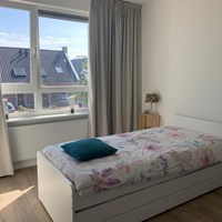 Hasselt, Lakensnijdersgilde, eengezinswoning - foto 4