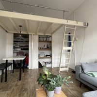 Nijmegen, Pater Brugmanstraat, kamer - foto 4