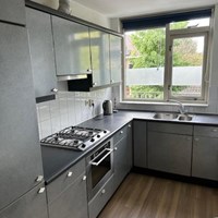 Nijmegen, Driehuizerweg, 3-kamer appartement - foto 6