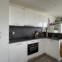 Houten, Randhoeve, zelfstandige studio - foto 5