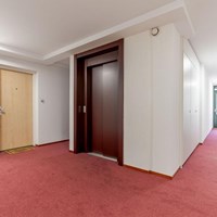 Den Haag, Thorbeckelaan, 3-kamer appartement - foto 4