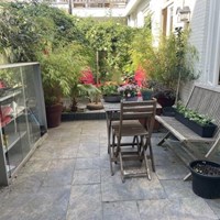 Den Haag, Cornelis Jolstraat, benedenwoning - foto 6