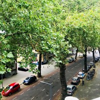 Rotterdam, Rodenrijselaan, zelfstandige studio - foto 4