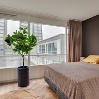 Eindhoven, Cassandraplein, 2-kamer appartement - foto 5