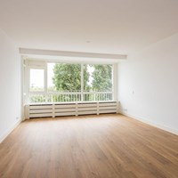 Schiedam, Over de Vesten, 2-kamer appartement - foto 5