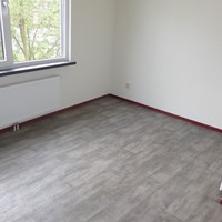 Tilburg, Hoogtedwarsstraat, semi zelfstandige studio - foto 4
