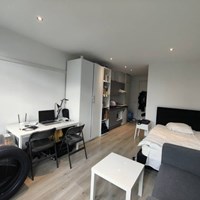 Eindhoven, Boschdijk, kamer - foto 5