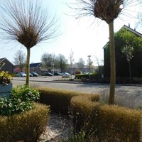 Lisse, Putterstraat, eengezinswoning - foto 4