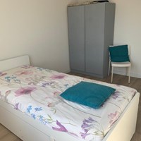 Hasselt, Lakensnijdersgilde, eengezinswoning - foto 5