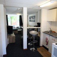 Tilburg, Nicolaas Pieckstraat, zelfstandige studio - foto 4