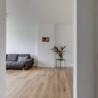 Utrecht, Rooseveltlaan, portiekflat - foto 5