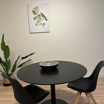 Haarlem, Zijlweg, 2-kamer appartement - foto 3