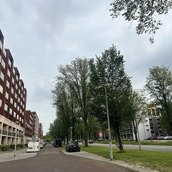 Amsterdam, IJdoornlaan, benedenwoning - foto 2