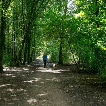 Nieuwegein, Geinoord, eengezinswoning - foto 2