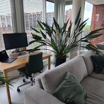 Amsterdam, Maria Austriastraat, 3-kamer appartement - foto 3