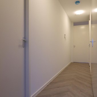 Utrecht, Eerste Muntmeesterslaan, 2-kamer appartement - foto 3