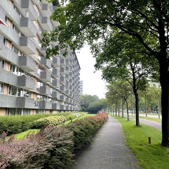 Rijswijk (ZH), Thomas Jeffersonlaan, 4-kamer appartement - foto 2