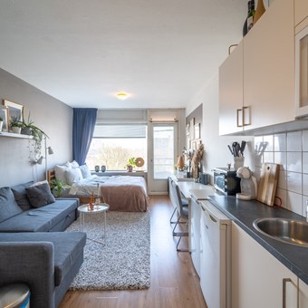 Groningen, Populierenlaan, zelfstandige studio - foto 3