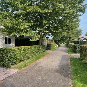 Ochten, Rivierendal, recreatiewoning - foto 3