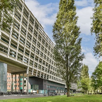 Amsterdam, Borneolaan, maisonnette - foto 3