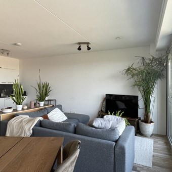 Utrecht, Winklerlaan, 3-kamer appartement - foto 3