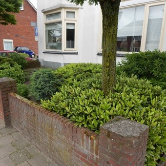 Oldenzaal, Enschedesestraat, galerijflat - foto 2