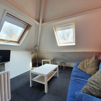 Breda, Tulpenstraat, kamer - foto 3