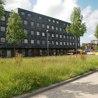 Hoofddorp, Rottumeroog, zelfstandige studio - foto 2