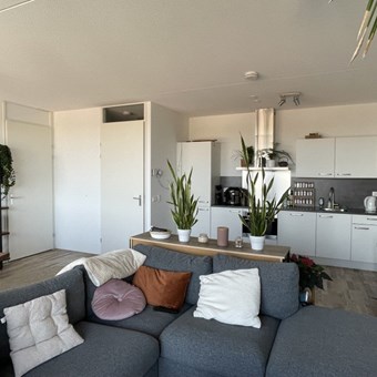 Utrecht, Winklerlaan, 3-kamer appartement - foto 2