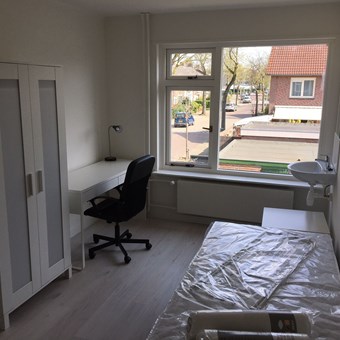 Eindhoven, Dasstraat, kamer - foto 2