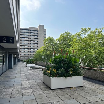 Eindhoven, Bomanshof, 3-kamer appartement - foto 2