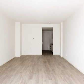 Alkmaar, Rogier van der Weydestraat, zelfstandige studio - foto 3