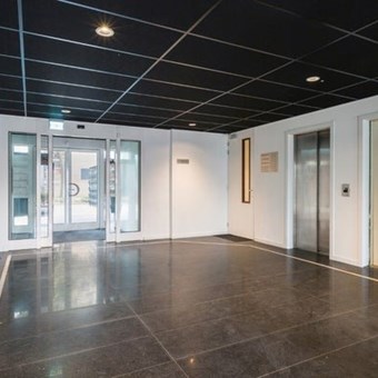 Eindhoven, Boschdijk, kamer - foto 2