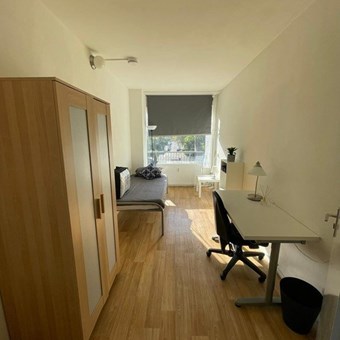 Arnhem, Hanzestraat, studentenkamer - foto 2