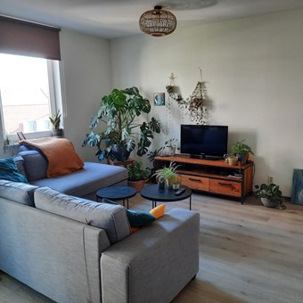 Oegstgeest, Zilverstein, galerijflat - foto 2