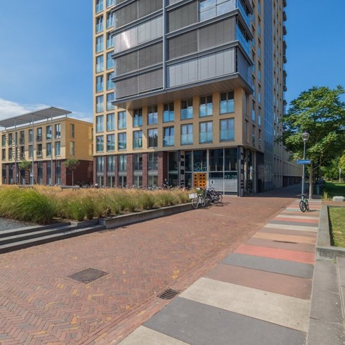 Haarlem, Bellevuelaan, 2-kamer appartement - foto 1