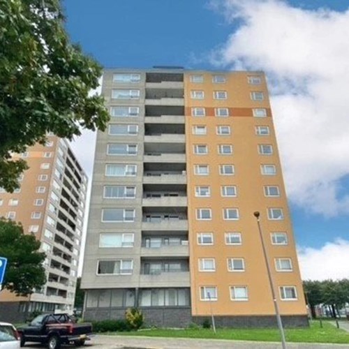 Rotterdam, Speedwellstraat, 3-kamer appartement - foto 1