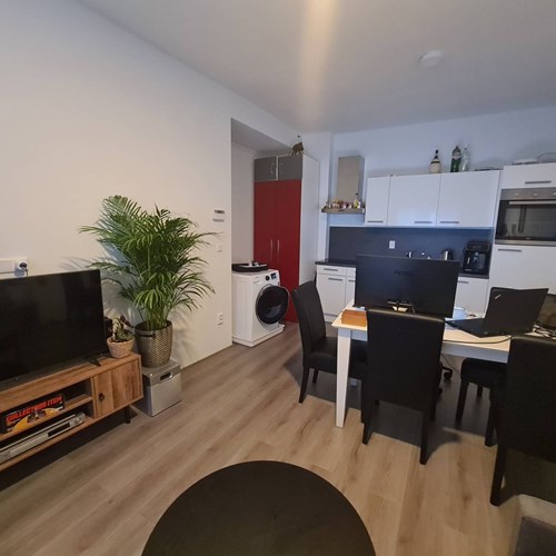 Zwolle, Windesheimstraat, benedenwoning - foto 1