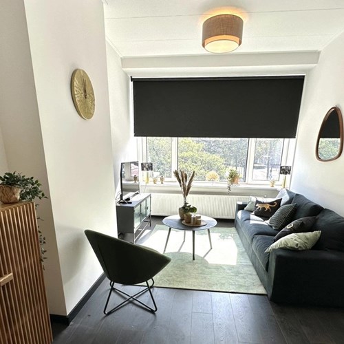 Schiedam, Broersvest, 2-kamer appartement - foto 1