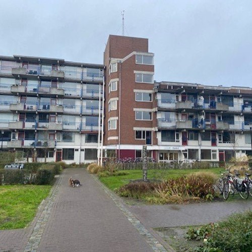Leeuwarden, Trosdravik, 2-kamer appartement - foto 1